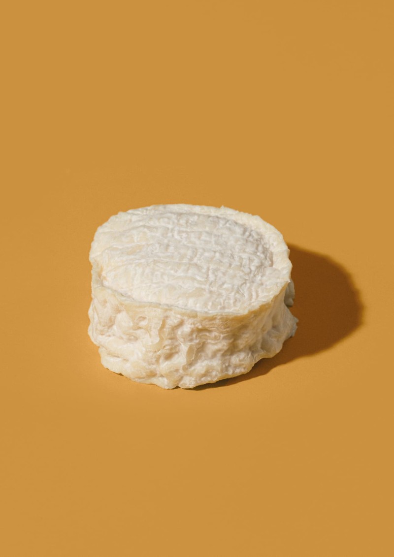 mucca-langhino-tre-latti.jpg