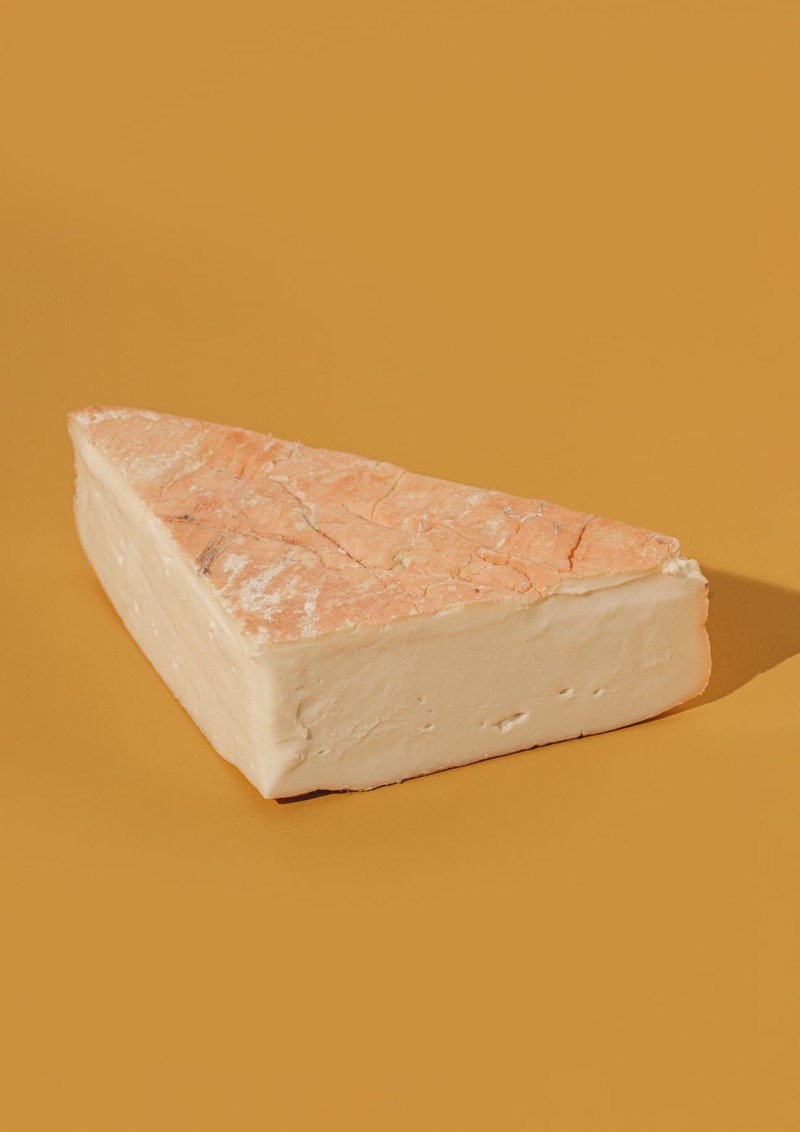 mucca-taleggio-dop-copelli.jpg